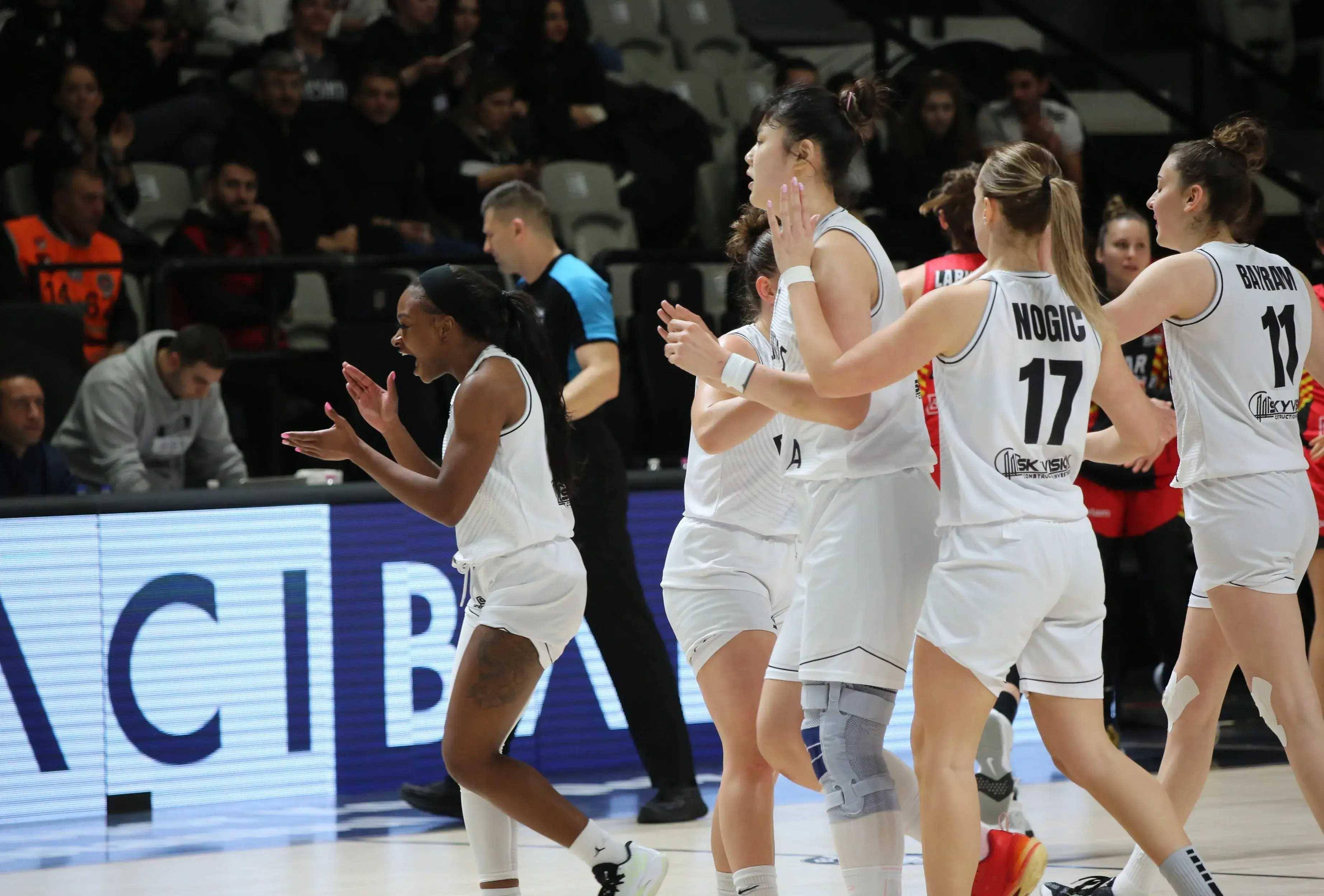 欧洲篮球后备队员的积极训练 欧洲篮球后备队员的积极训练