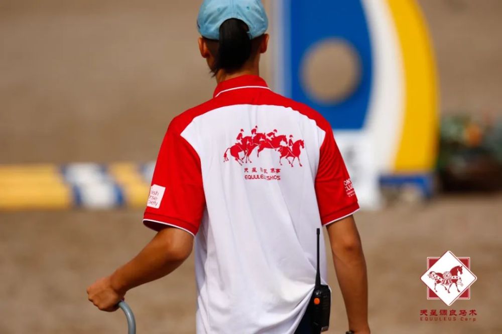 实战经验成为取胜关键,球队磨合有术 实战经验成为取胜关键,球队磨合有术