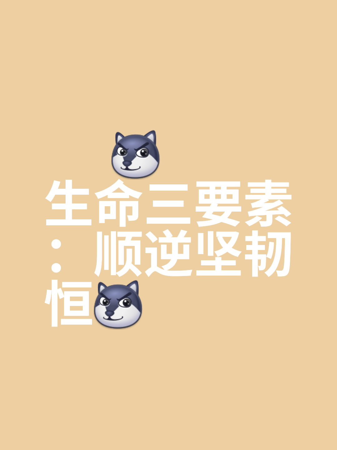 我们不怕强手,拼尽全力,一路顺风 我们不怕强手,拼尽全力,一路顺风