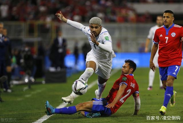 南美游泳选手迎来突破,引发关注 南美游泳选手迎来突破,引发关注