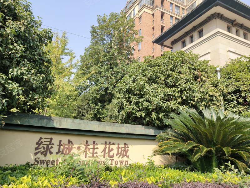 绿城接连失球,需弥补后防漏洞以稳固战绩 绿城接连失球,需弥补后防漏洞以稳固战绩